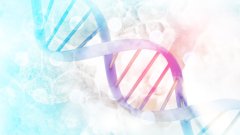 样本的“身份证”:亲子鉴定中的检材来源与证